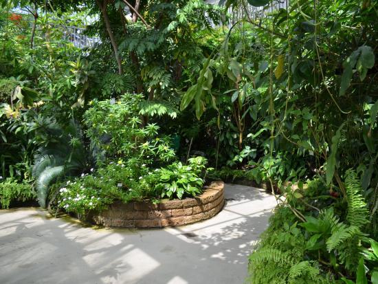 Jardín Botánico de la Universidad de Leipzig